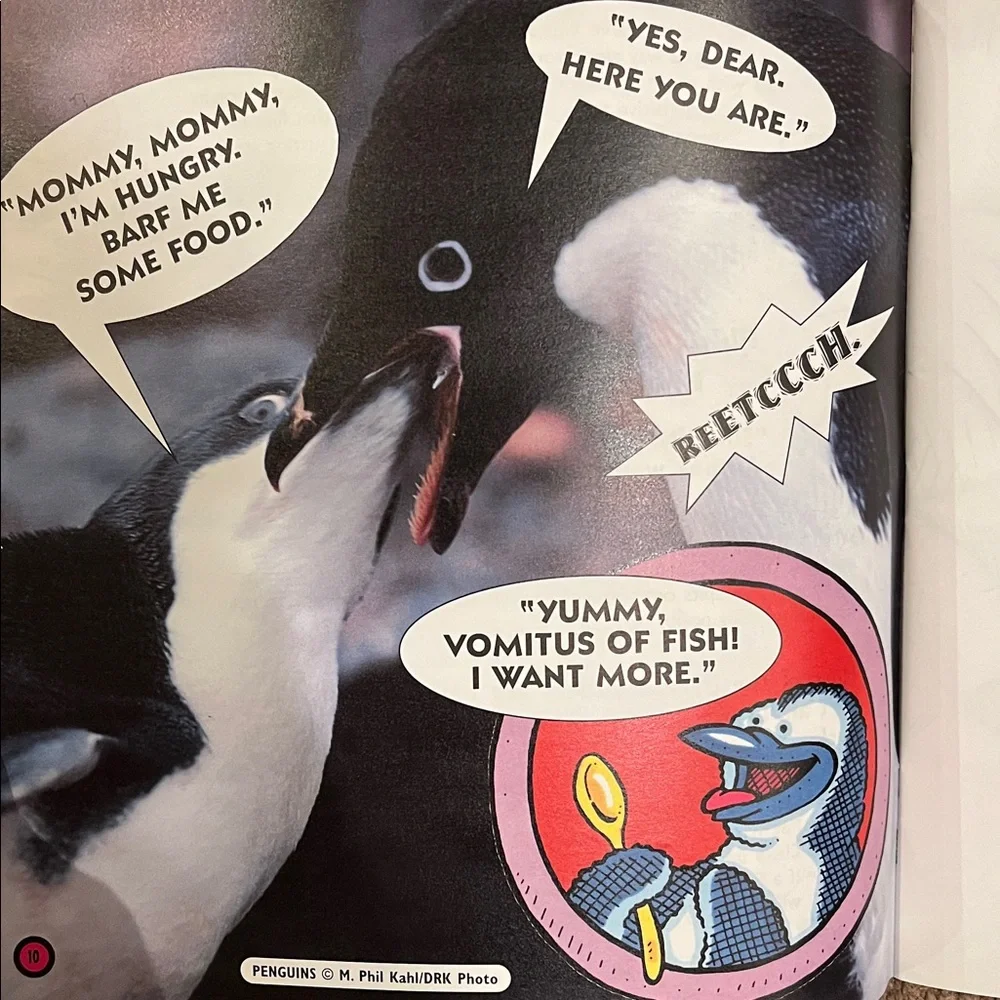 Scholastic diverse collection